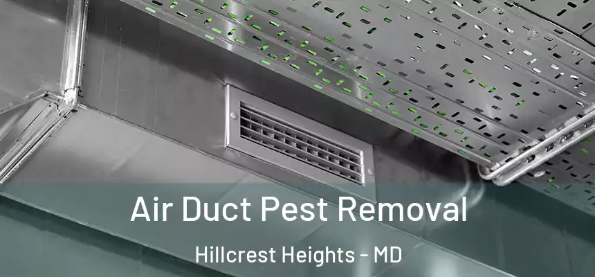 Air Duct Pest Removal Hillcrest Heights - MD