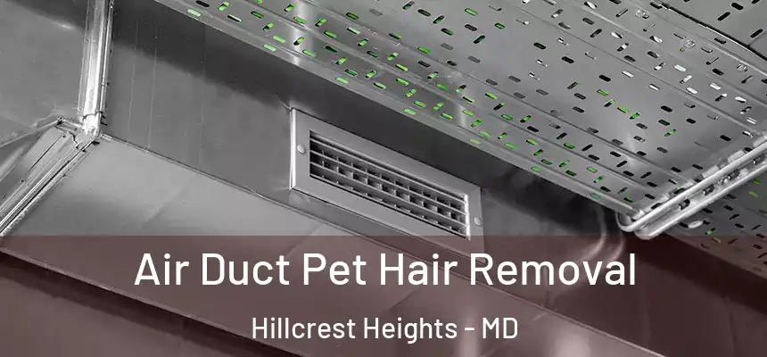 Air Duct Pet Hair Removal Hillcrest Heights - MD