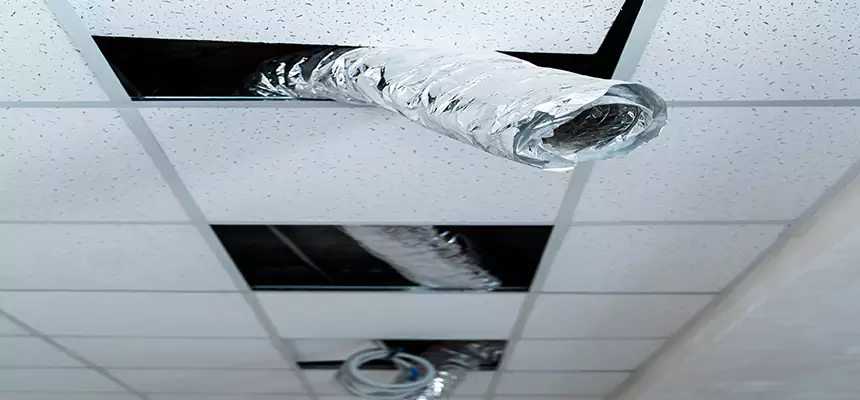 Affordable HVAC Sanitizing After Pest Removal in Hillcrest Heights