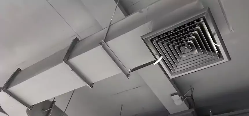 Restorative Allergy Relief Vent Cleaning – Coil, Blower & Housing Detail in Hillcrest Heights