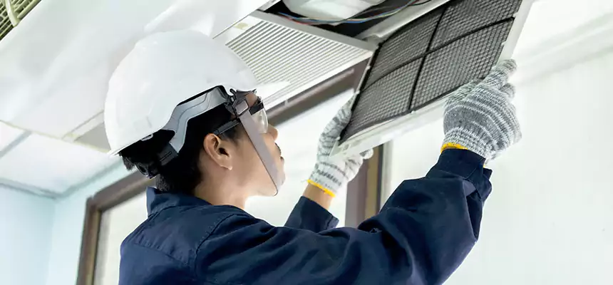 Our Mold & Mildew Removal from Air Ducts Services in Hillcrest Heights, MD