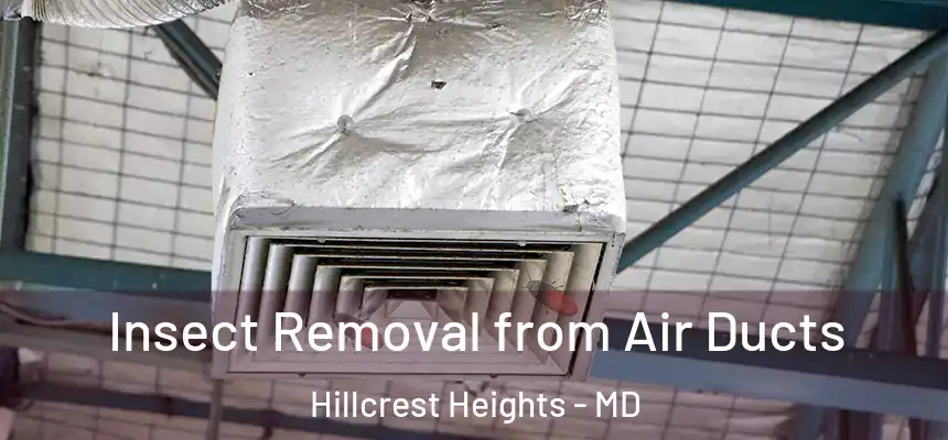 Insect Removal from Air Ducts Hillcrest Heights - MD