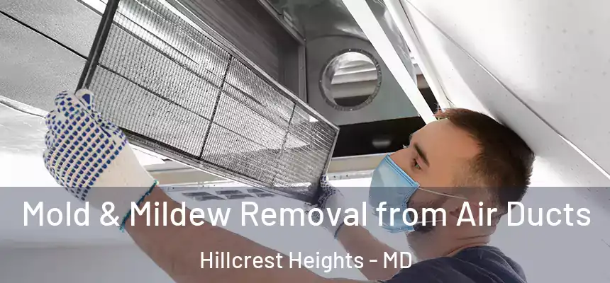 Mold & Mildew Removal from Air Ducts Hillcrest Heights - MD