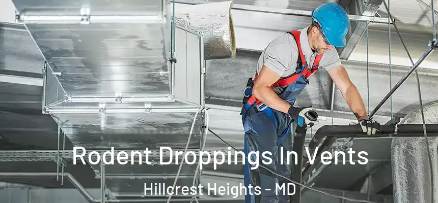  Rodent Droppings In Vents Hillcrest Heights - MD