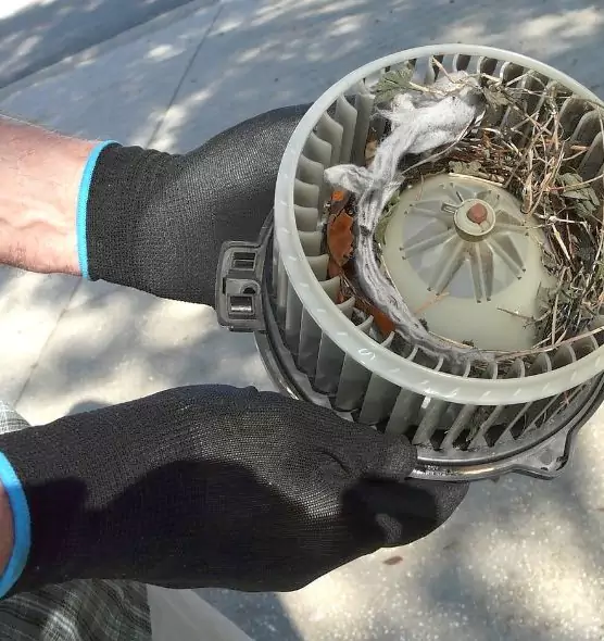 About Air Duct Mice Removal in Hillcrest Heights, MD