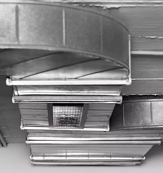 Professional Air Duct Pest Removal in Hillcrest Heights, MD