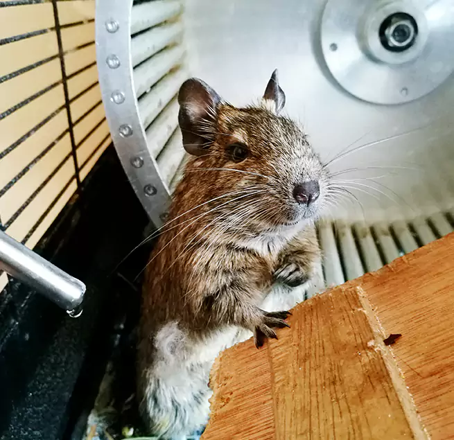 Why Homeowners & Businesses Trust Us Hillcrest Heights, MD