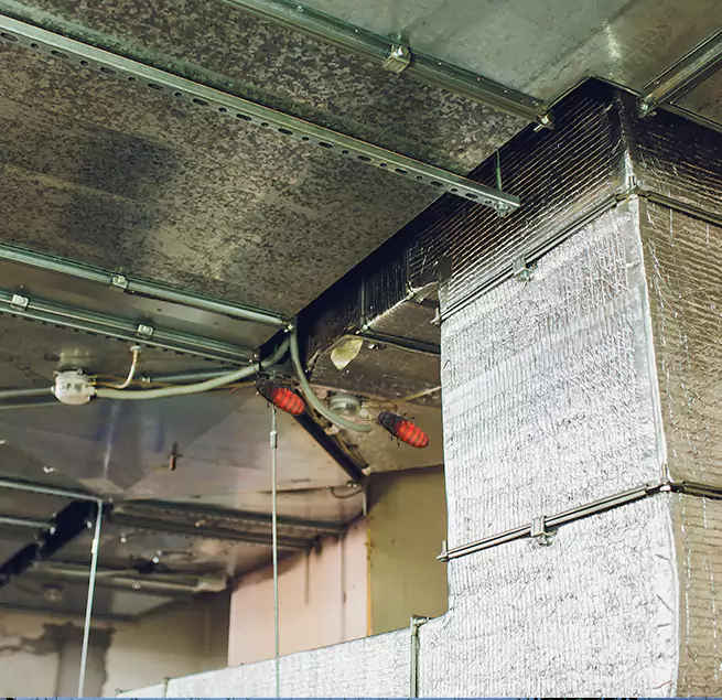 Why Homeowners & Businesses Trust Us Hillcrest Heights, MD?